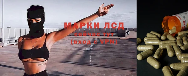 мяу мяу мука Козловка