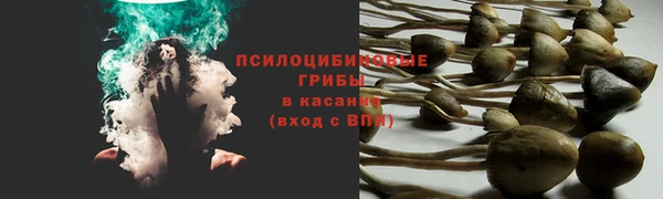 mdpv Козельск