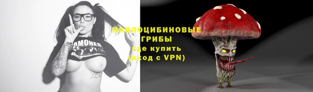 трава Кодинск