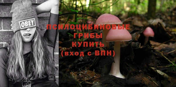 mdpv Козельск