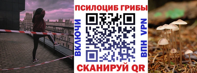Купить  Гусь-Хрустальный  Псилоцибиновые грибы мицелий 